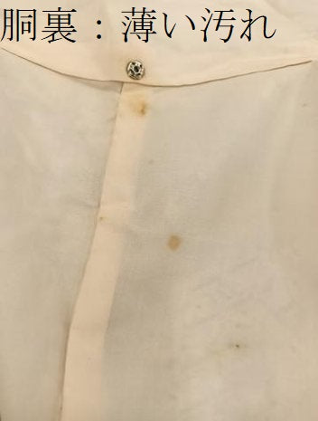平和屋着物■上質な小紋　風景文　正絹　逸品　BAAY0567mz