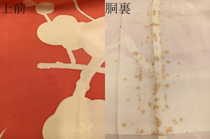 平和屋着物●上質な小紋　枝梅文　地紋起こし　正絹　逸品　BAAY0569mz