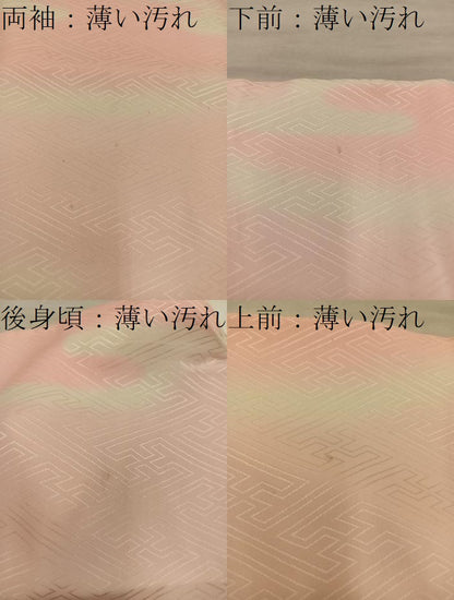 平和屋着物■長襦袢　袷　紗綾形地紋　暈し染め　正絹　逸品　BAAY0583mz