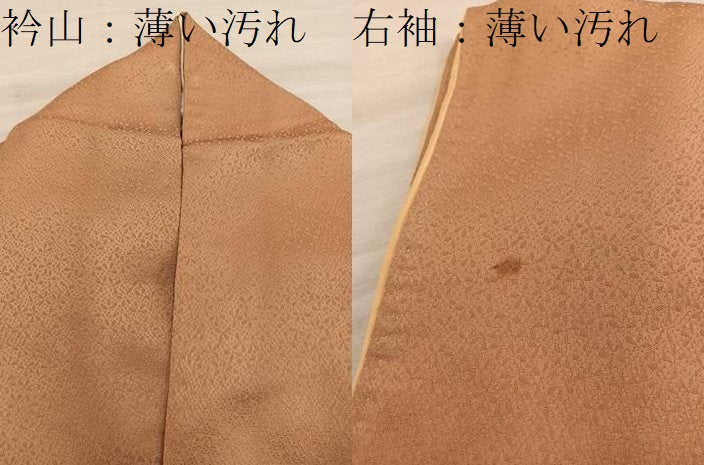 平和屋着物■訪問着　刺繍　菊花文　正絹　逸品　BAAY0591mz