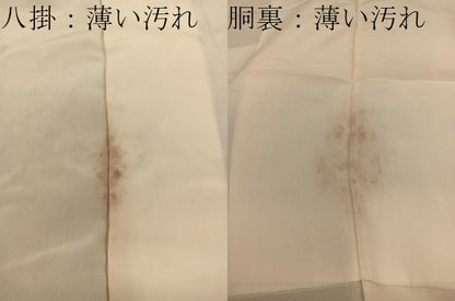 平和屋着物■上質な小紋　更紗花文　鬼しぼ縮緬　正絹　逸品　BAAY0627mz