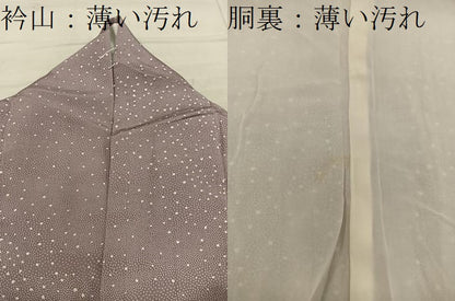 平和屋着物■江戸小紋　正絹　箔散らし　逸品　BAAY0668mz