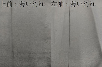 平和屋着物■男性　長襦袢　無双仕立て　樹林風景文　金彩　洗える着物　BAAY0699mz