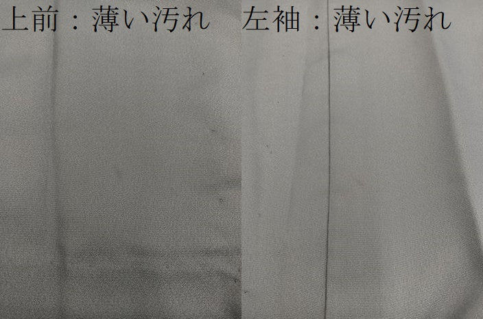 平和屋着物■男性　長襦袢　無双仕立て　樹林風景文　金彩　洗える着物　BAAY0699mz