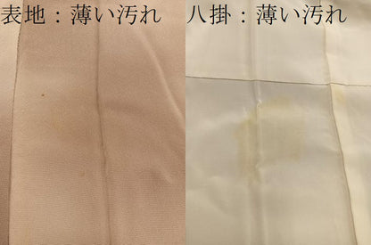 平和屋着物■訪問着　駒刺繍　枝葉文　暈し染め　正絹　逸品　BAAY0728mz
