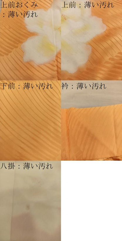 平和屋着物■訪問着　牡丹　正絹　逸品　BAAY0756mz