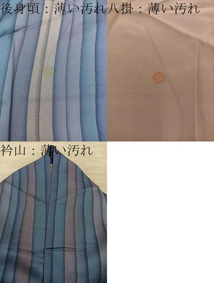 平和屋着物■上質な小紋　間道　正絹　逸品　BAAY0768mz