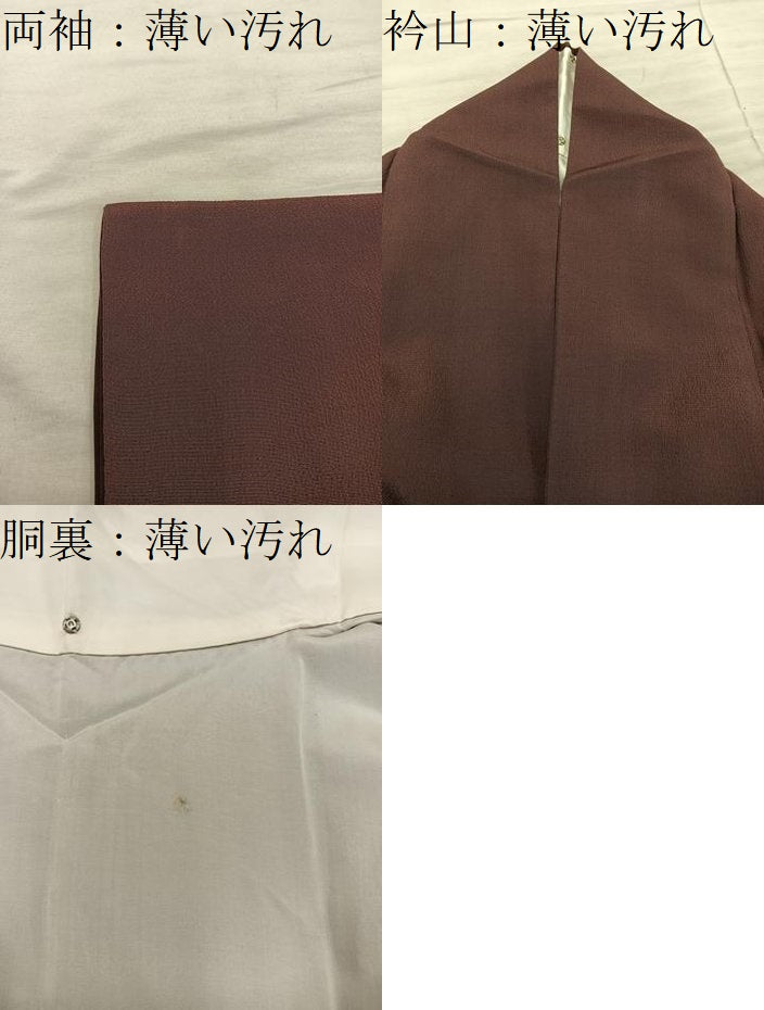 平和屋着物■訪問着　草花文　寿光織　金糸　正絹　逸品　BAAY0816mz