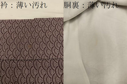 平和屋着物■江戸小紋　青海波　正絹　逸品　BAAY0819mz