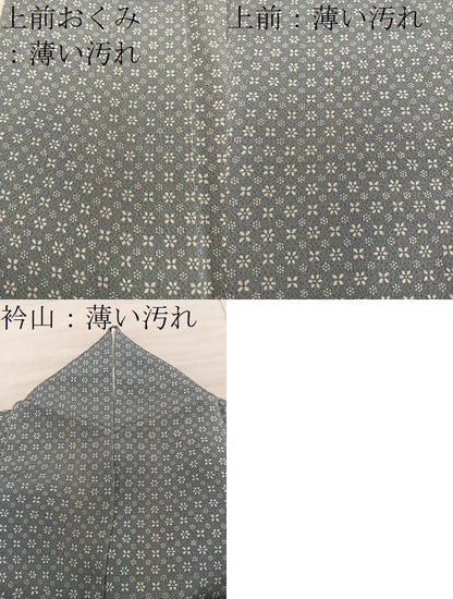 平和屋着物■上質な小紋　草花文　鬼しぼ縮緬　正絹　逸品　BAAY0841mz