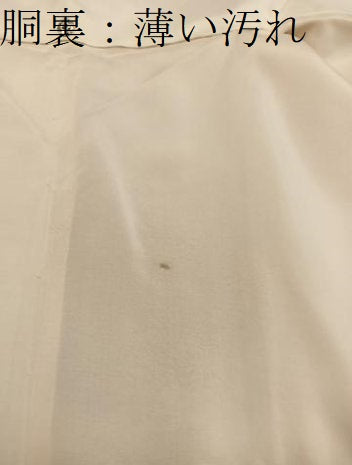 平和屋着物■色留訪問着　万寿菊地紋　暈し染め　正絹　逸品　BAAY0850mz