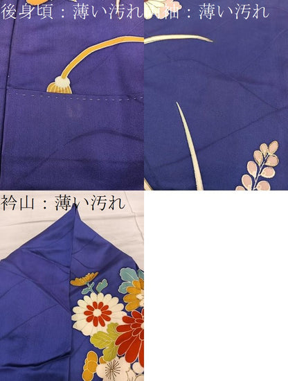 平和屋着物■豪華振袖　駒刺繍　薔薇　船　金彩　正絹　逸品　BAAY0861mz