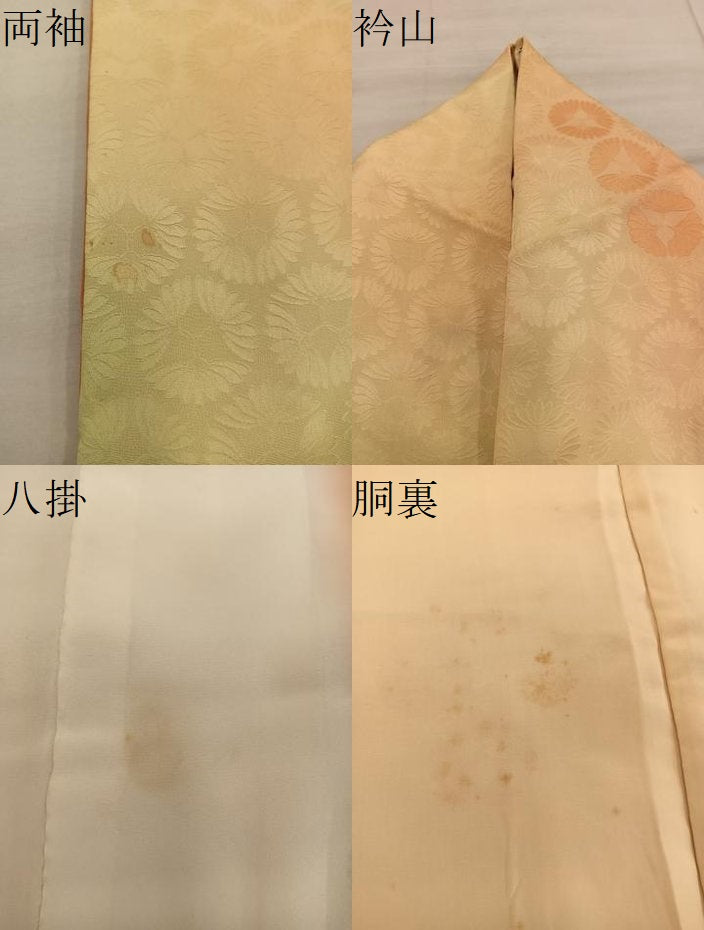 平和屋着物●上質な小紋　草花文　地紋起こし　正絹　逸品　BAAY0869mz