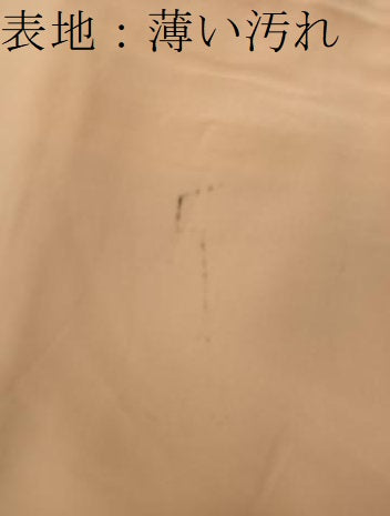 平和屋着物■訪問着　風景花文　暈し染め　正絹　逸品　BAAY0997mz