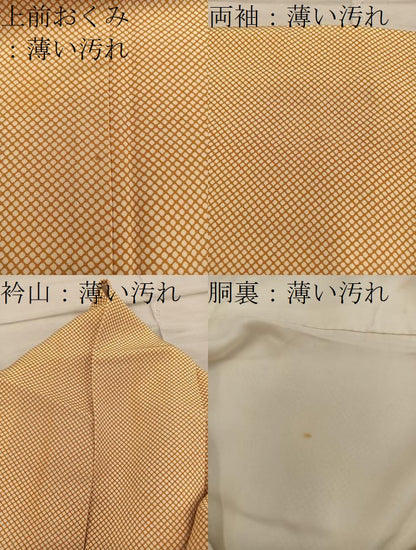 平和屋着物■江戸小紋　行儀　正絹　逸品　BAAY1001mz