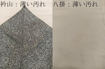 平和屋着物■上質な小紋　たたき染め　正絹　逸品　BAAY1007mz