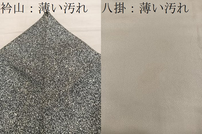 平和屋着物■上質な小紋　たたき染め　正絹　逸品　BAAY1007mz
