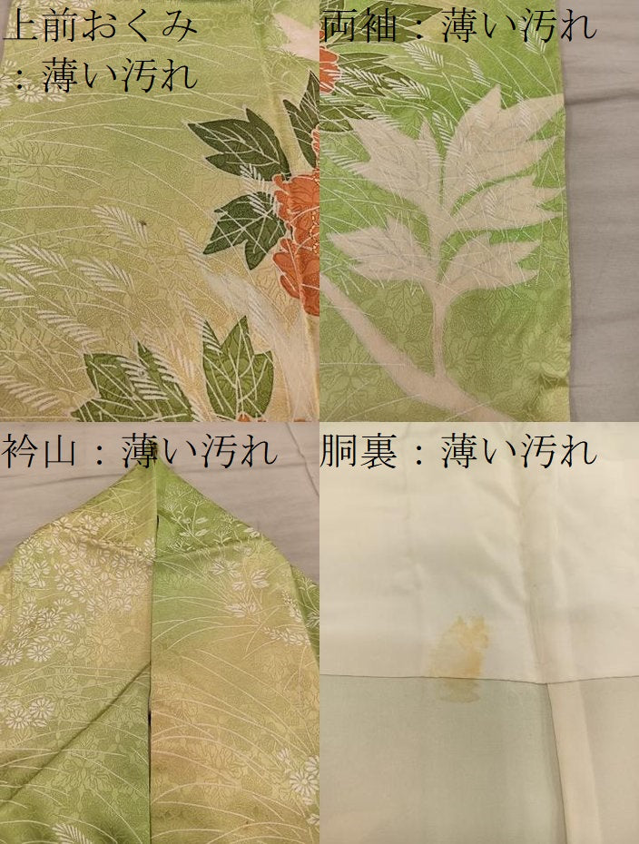 平和屋着物■訪問着　駒刺繍　枝花文　暈し染め　正絹　逸品　BAAY1034mz