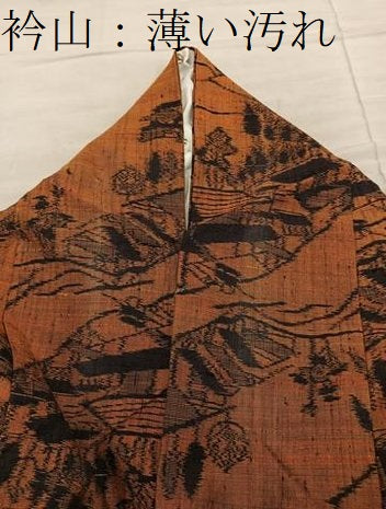 平和屋着物■上質な紬　風景文　正絹　逸品　BAAY1041mz