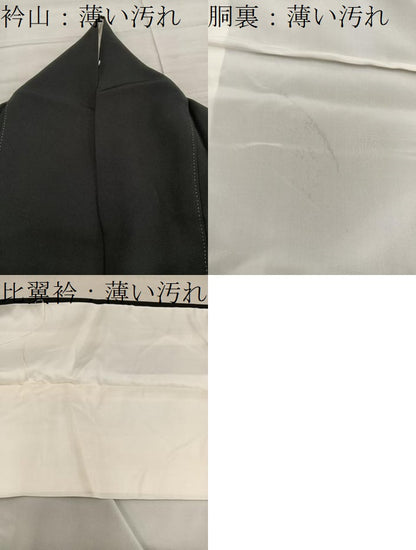 平和屋着物■豪華黒留袖　飛鶴風景文　金彩　正絹　逸品　BAAY1042mz