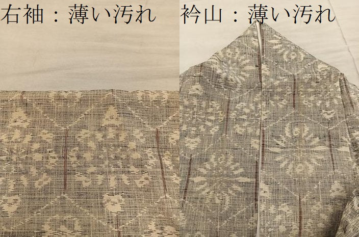 平和屋着物■上質な紬　亀甲花文　正絹　逸品　BAAY1057mz