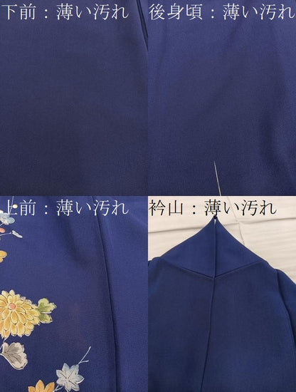 平和屋着物■訪問着　檜扇花文　金彩　正絹　逸品　BAAY1063mz
