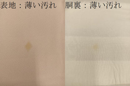 平和屋着物■訪問着　刺繍　流水草葉文　金彩　正絹　逸品　BAAY1068mz