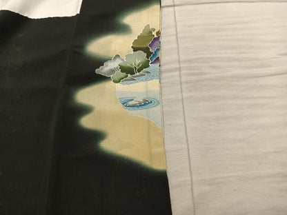 平和屋着物■豪華黒留袖　風景文　暈し染め　正絹　逸品　BAAY1076mz
