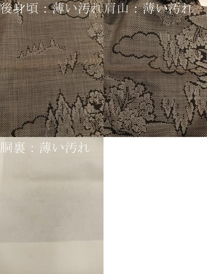 平和屋着物■本場大島紬　9マルキ　風景文　正絹　逸品　BAAY1112mz