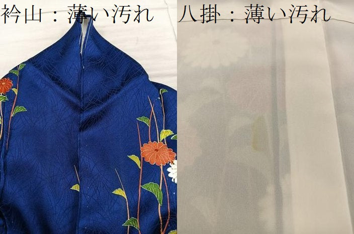 平和屋着物■訪問着　枝菊花文　金彩　正絹　逸品　BAAY1114mz