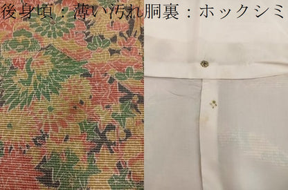 平和屋着物■上質な紬　風景花文　正絹　逸品　BAAY1121mz