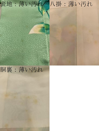 平和屋着物■訪問着　カトレア　正絹　逸品　BAAY1122mz