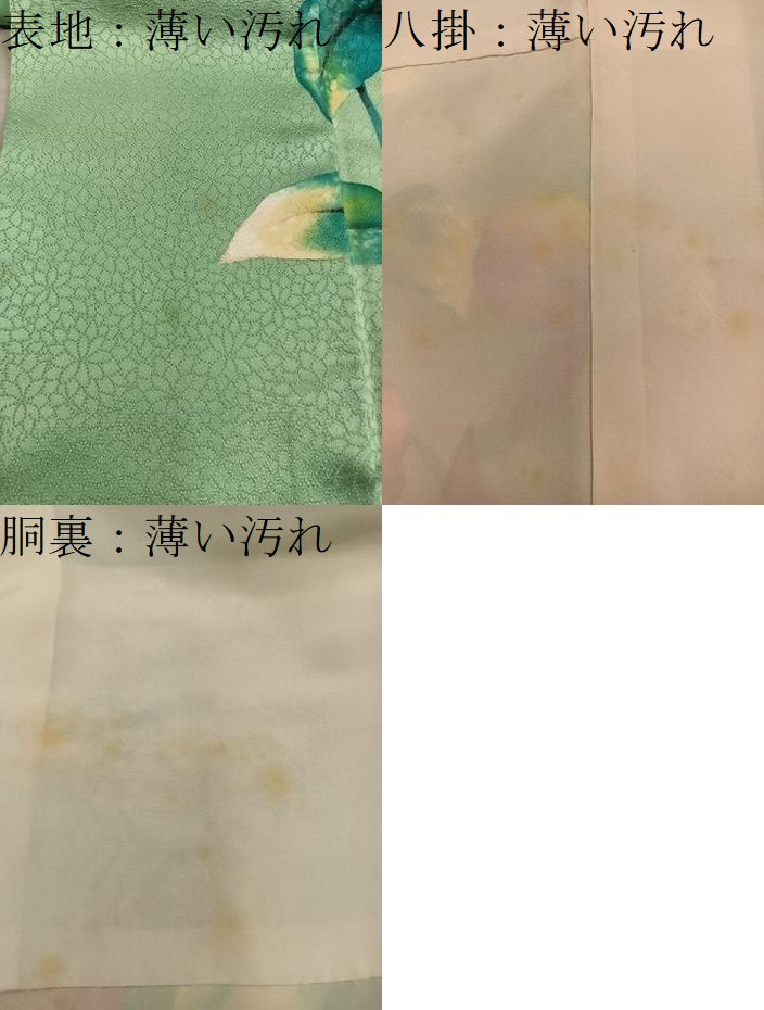 平和屋着物■訪問着　カトレア　正絹　逸品　BAAY1122mz