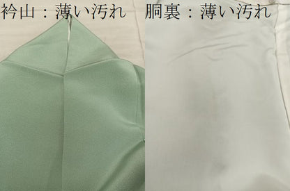 平和屋着物●訪問着　友禅　作家物　菊花文　暈し染め　正絹　逸品　BAAY1132mz