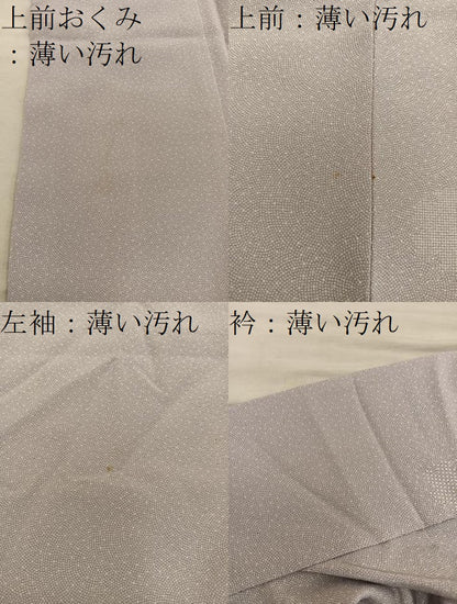 平和屋着物■江戸小紋　鮫小紋柄　ますいわ屋扱い　正絹　逸品　BAAY1138mz