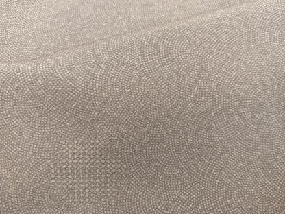 平和屋着物■江戸小紋　鮫小紋柄　ますいわ屋扱い　正絹　逸品　BAAY1138mz