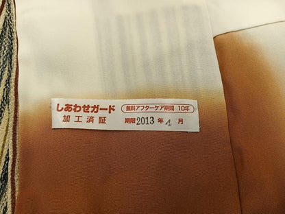 平和屋着物●上質な小紋　縞　鬼しぼ縮緬　正絹　逸品　BAAY1207mz