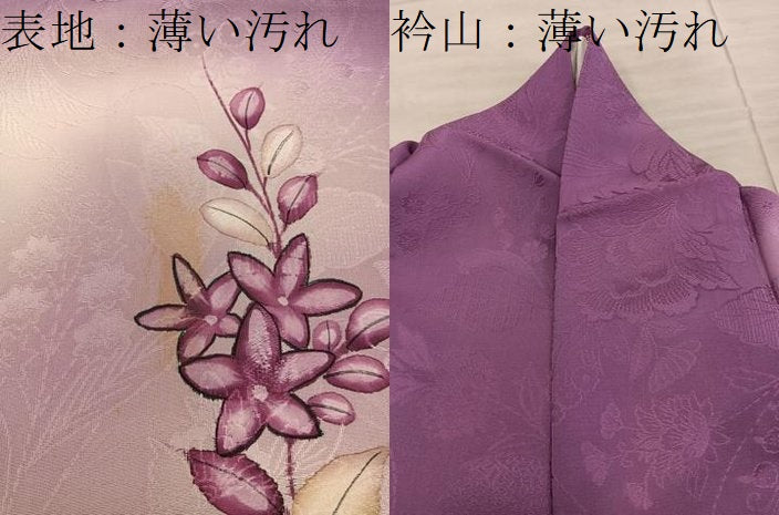 平和屋着物■訪問着　枝葉文　暈し染め　正絹　逸品　BAAY1224mz