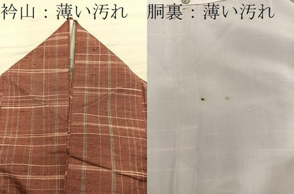 平和屋着物■上質な紬　格子柄　正絹　逸品　BAAY1264mz