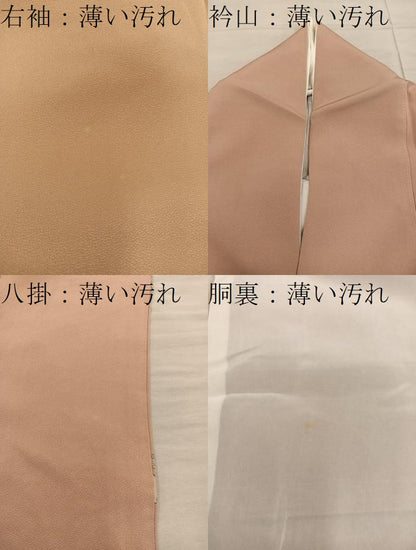 平和屋着物■豪華色留袖　人物文　寿光織　金銀糸　正絹　逸品　BAAY1270mz