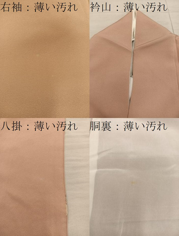平和屋着物■豪華色留袖　人物文　寿光織　金銀糸　正絹　逸品　BAAY1270mz