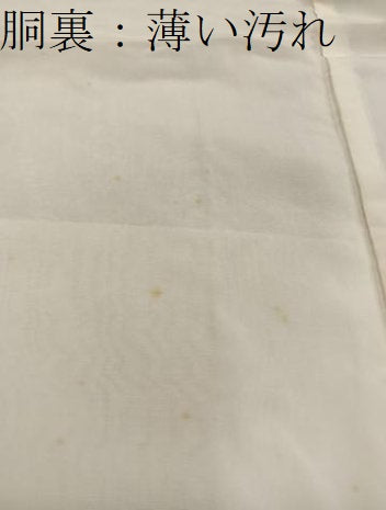 平和屋着物■上質な小紋　花鳥文　正絹　逸品　未使用　BAAY1289mz