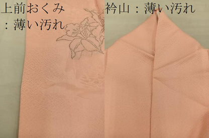 平和屋着物■訪問着　草花文　寿光織　銀糸　正絹　逸品　BAAY1294mz