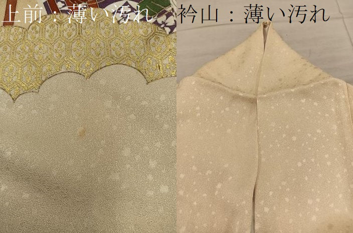 平和屋着物■訪問着　駒刺繍　渡り橋亀甲花文　金彩　正絹　逸品　BAAY1321mz
