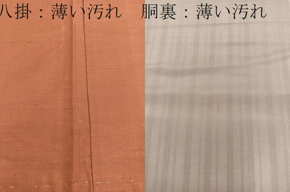 平和屋着物■上質な紬　間道　金彩　正絹　逸品　BAAY1440mz