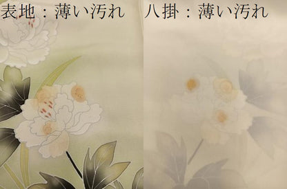 平和屋着物■訪問着　枝花文　暈し染め　正絹　逸品　BAAY1441mz