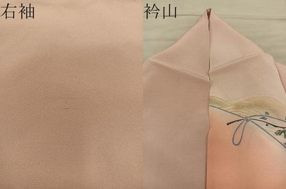 平和屋着物●訪問着　枝花文　暈し染め　金彩　正絹　逸品　BAAY1484mz