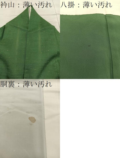 平和屋着物■上質な紬　千歳緑色　正絹　逸品　BAAY1487mz