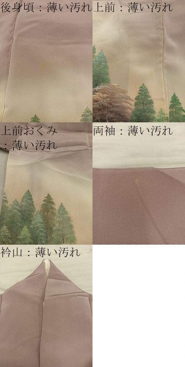平和屋着物■豪華色留袖　作家物　樹林風景文　暈し染め　金彩　正絹　逸品　BAAY1577mz