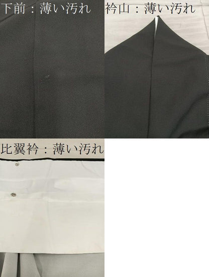 平和屋着物■豪華黒留袖　飛鶴花文　金彩　正絹　逸品　BAAY1608mz
